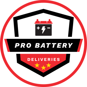 PRO BATTERY LOGO